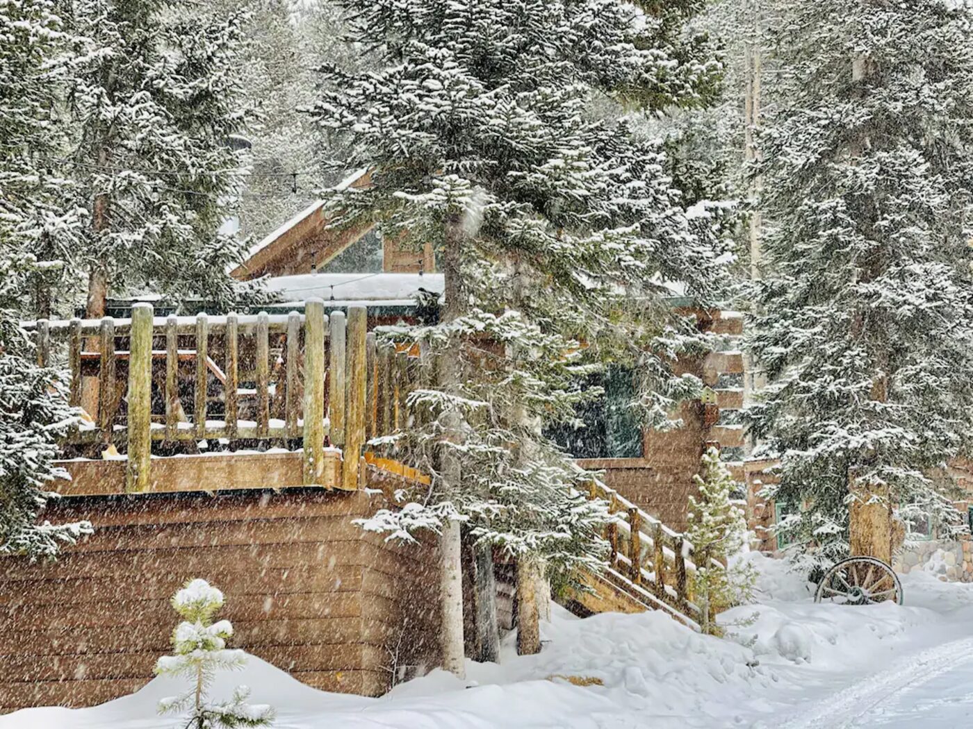 Kokand Cabin exterior during a snowstorm, snow-covered deck and pines