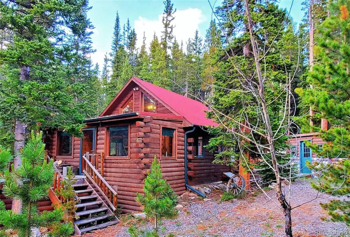 Kokand Cabin exterior in summer, log cabin with red metal roof surrounded by pine trees